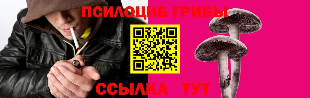 Галлюциногенные грибы Psilocybe  Вход с VPN  Реж 